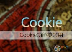 Win7 CookieҪôIE cookieò