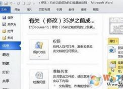 ��β鿴word�ĵ��޸Ĵ���