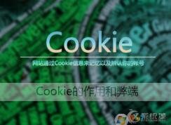 Cookiesʲô˼Win7 cookiesôÿ͹رգ