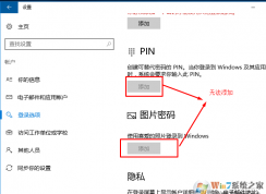 win10ϵͳ޷ʹpinƬĽ