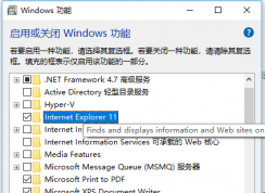 win10ϵͳú͹رwindowsҲie11ô죿