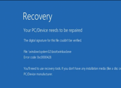 win10ϵͳʾ0xc0000428 BSOD޸