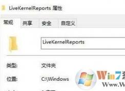 windowsĿ¼livekernelreportsʲô?livekernelreportsɾ?