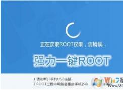 ֻһrootʲô˼ֻrootʲôô