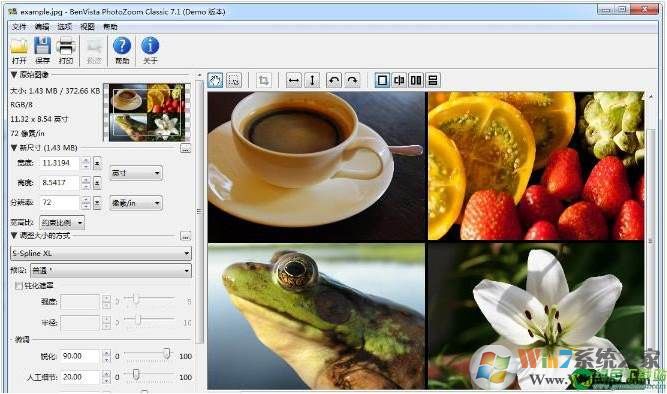 PhotoZoom Classic v7.1.0(ͼƬŴʧ)ע