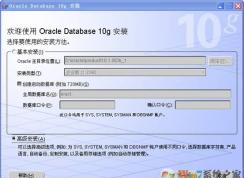 oracle 10g װͼϸ̳