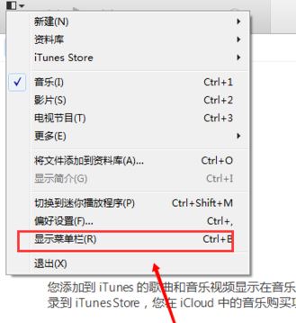 itunes֣Сitunesֵķ