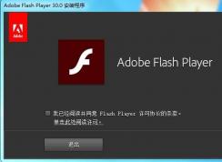 Adobe Flash Player PPAPINPAPI ActiveXʲô