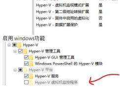 win10 hyper-vسɫ޷ѡȡô죿