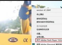 win10flash 汾Ŀflash汾ŵĲ鿴