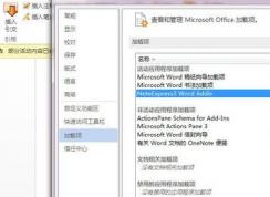noteexpressسô죿word޷noteexpressĽ