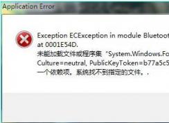 application error,Ӧó:Application Errorô