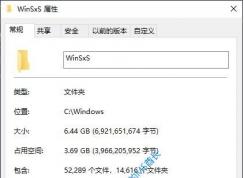 Win10:WinSxS洢