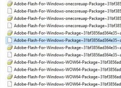 Win10γɾAdobe Flash Player