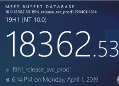 Win10 1903 KB4495666(18362.53)ۻ߲