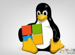 2020꿪ʼWin10תƵLinuxϵͳ