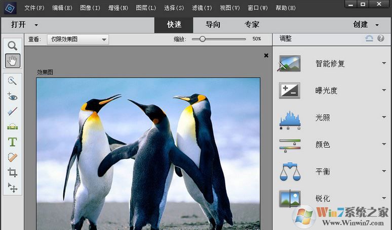 Adobe Photoshop Elements 2019ɫ棨輤ã