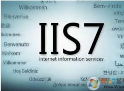 IIS(վ޷)Windows Process Activation Service (WAS) ޷