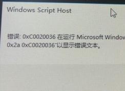 win10ʧܣ0xc0020036 Windows Script HostĴ󵯴