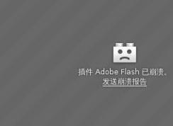 win10ϵͳ Adobe Flashѱ 