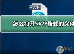 Win10ϵͳôSWFļִSWFļ