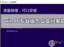 Win10רҵôתWin10ͥ棬