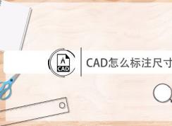 cadôߴ磿CADгߴעĲ