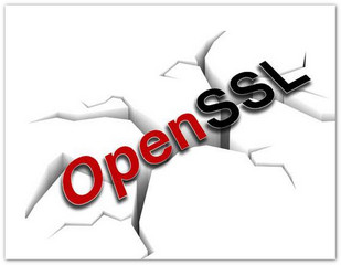 openssl_openssl Windows v1.1.0h(OpenSSL)