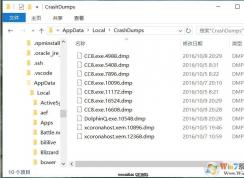 crashdumpsļʲô,DMPļɾ