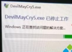 Win105˳DevilMayCry5.exeֹͣô