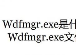 wdfmgr.exeʲộwdfmgr.exeô죿