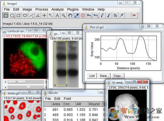 ImageJ_ImageJ(ͼ)ɫ