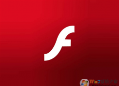 ΢:2021WindowsɾAdobe Flash Player