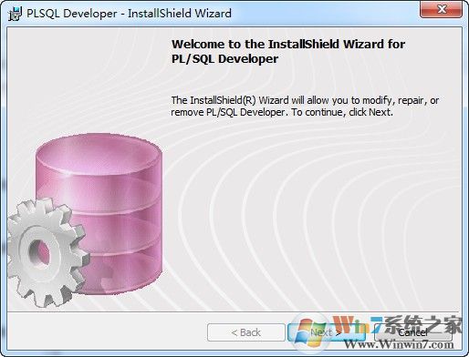 PLSQLİ|PL/SQL Developer 64λİv11.0.4