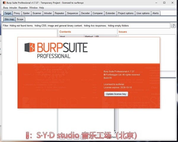 Burpsuite_Burp Suite Pro(͸Թ)ƽ