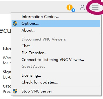 vnc4.0