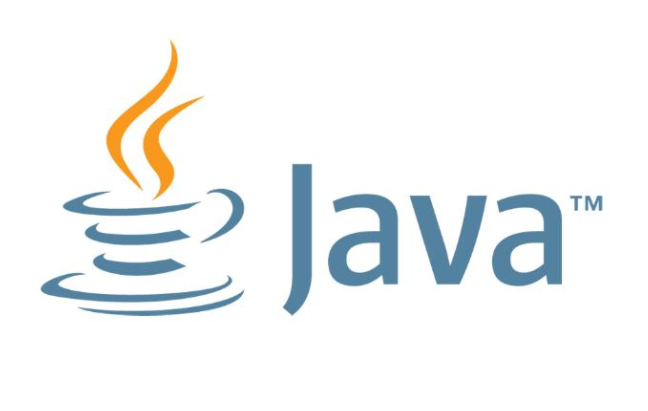 Java SE Runtime Environment(Javaл) V8.0.202ʽ