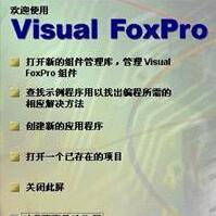 Microsoft Visual Fox Pro(ݿ⿪)