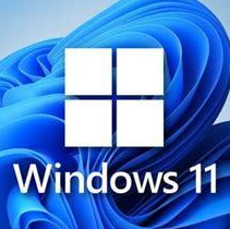 Windows11 MSDN ԭ˺һ(ƹTPM)