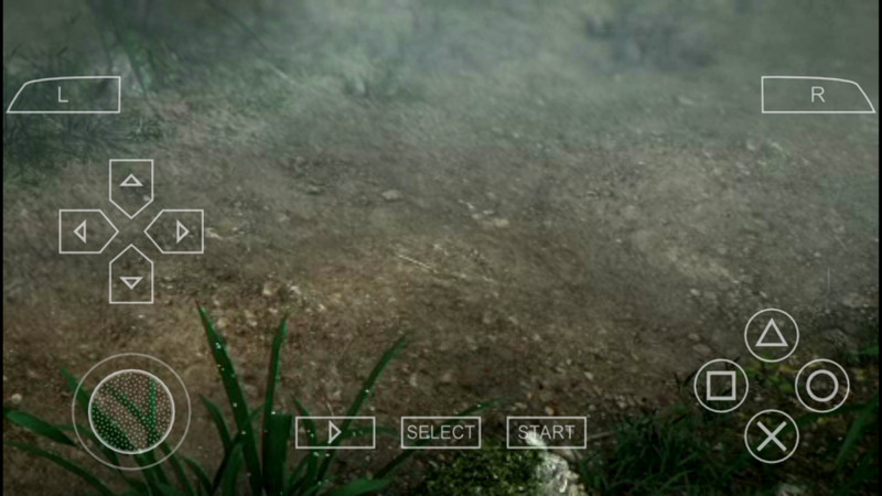 ��������P3�����������İ�