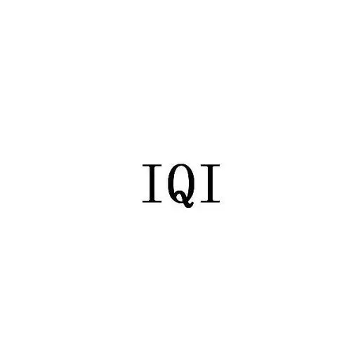 IQI9 Windowsһװ Final v9.9.6.6
