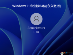 Windows11רҵ|Windows11 64λרҵ(üϵͳ) v2024