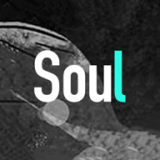Soul° ׿v4.12.0