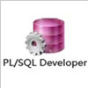 PL/SQL Developer 32/64λ(װ̳)