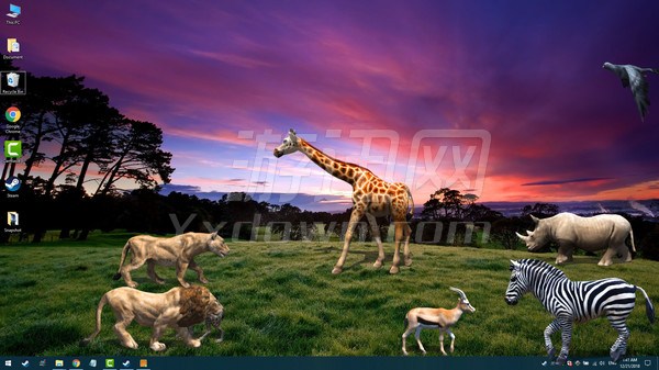 �������澫��(XSprite)