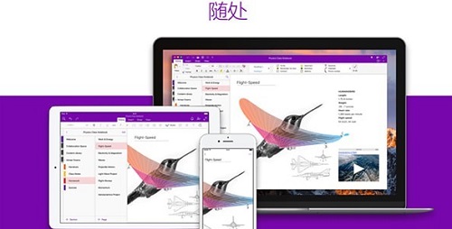 OneNote칫 v2022°