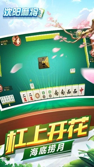 边锋沈阳老友麻将