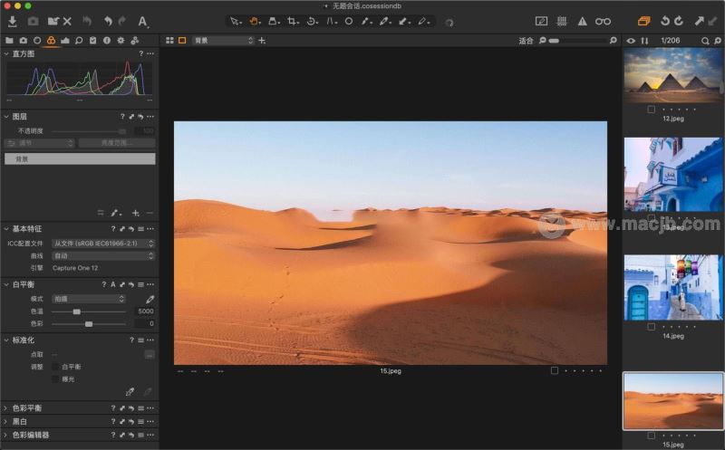 Capture One 22 Pro for Mac V15.2.1.14ر