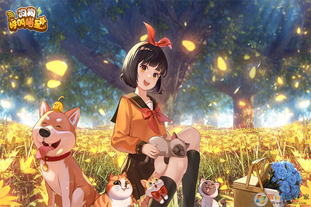 ������������APP