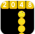 ̰ߴս2048